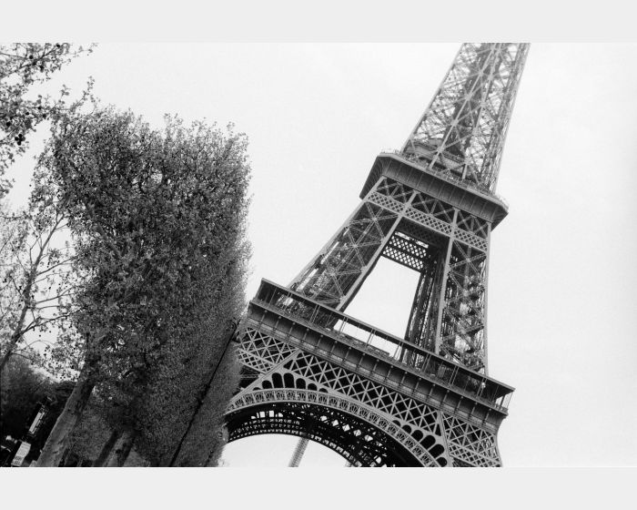 The Tower, Paris 