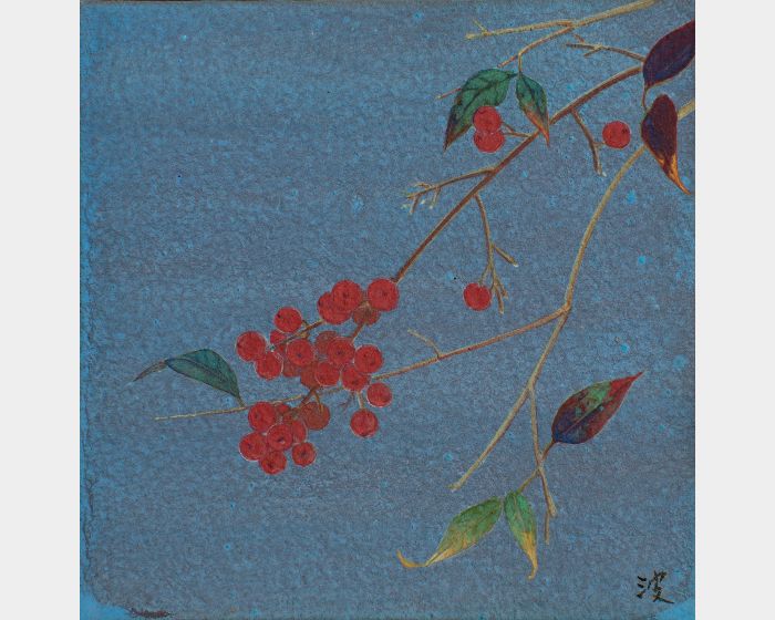 南天竹