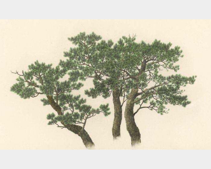 三棵松