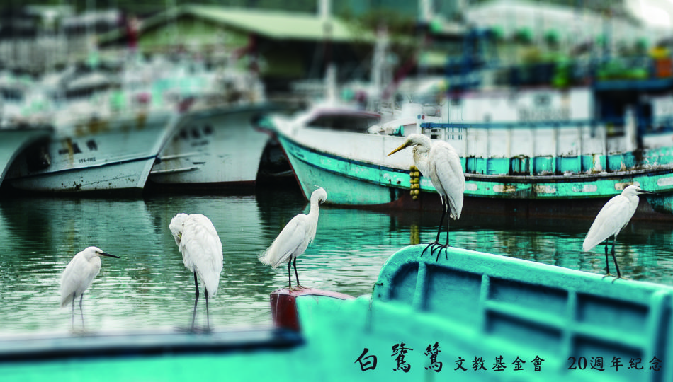 白鷺鷥文教基金會
