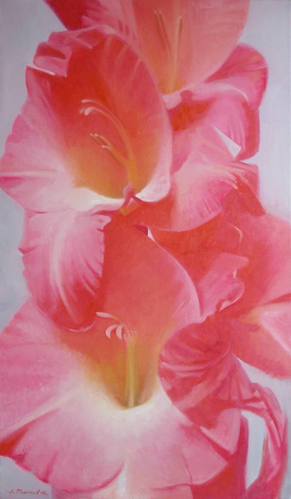 Olexander Rozhkov - Gladiolus