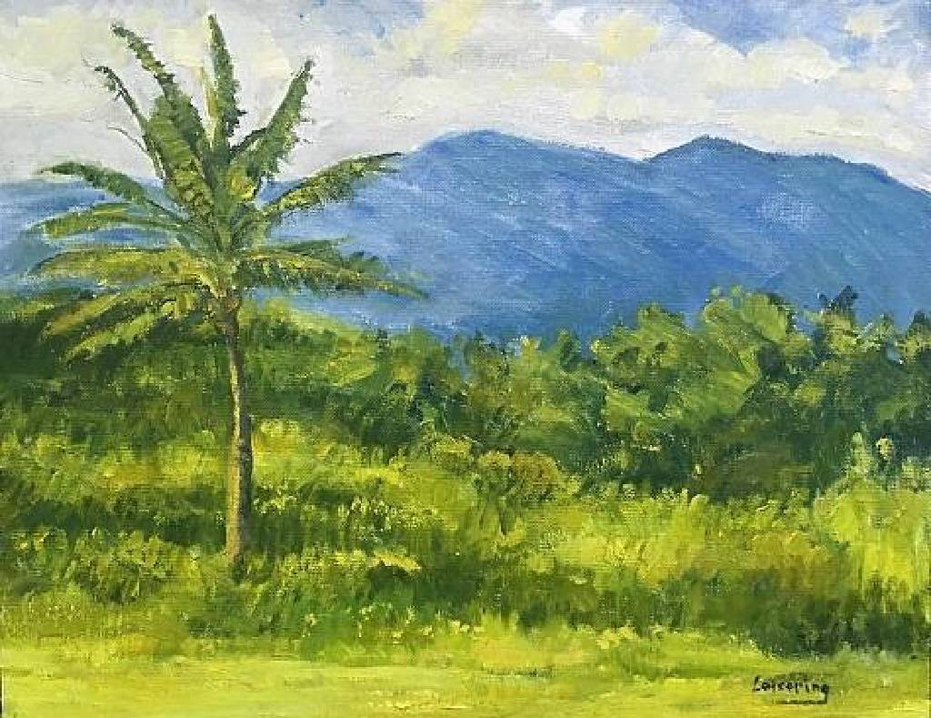 洪傑生 - 神采奕奕 Palm and Mountain