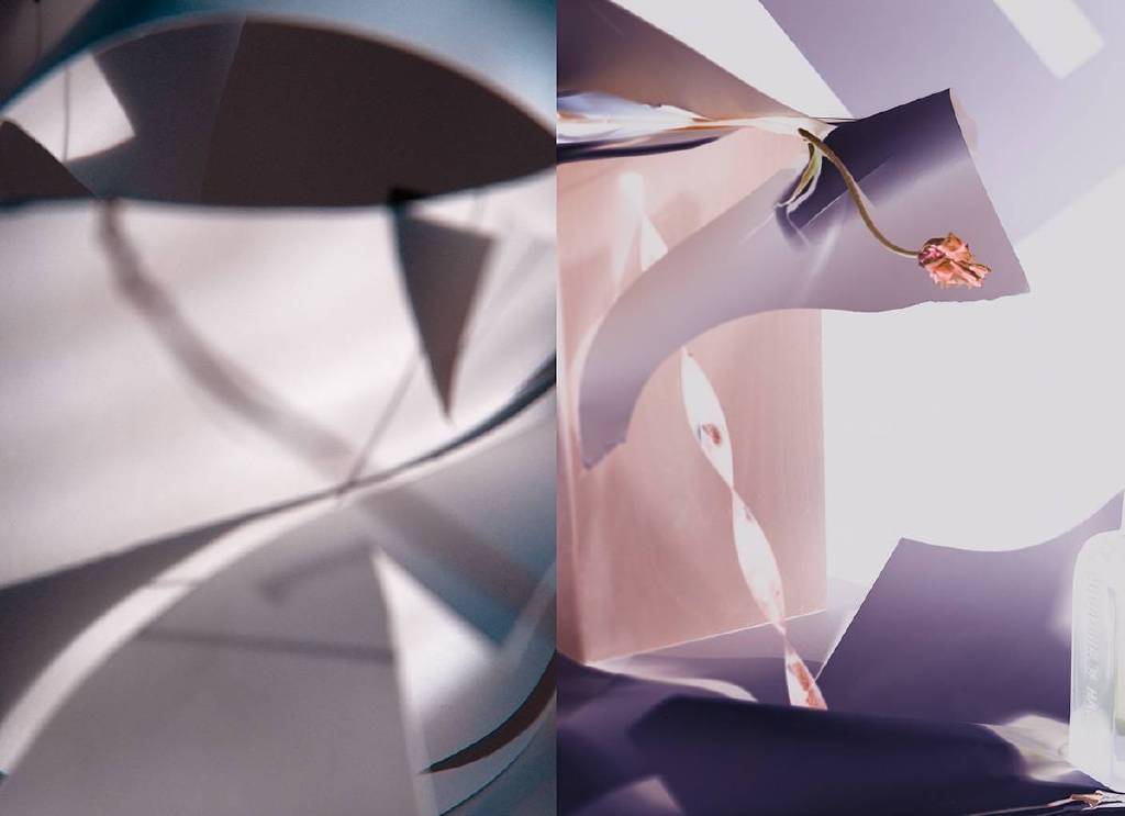 王慶蘋 - No. 7, Still Life Diptych