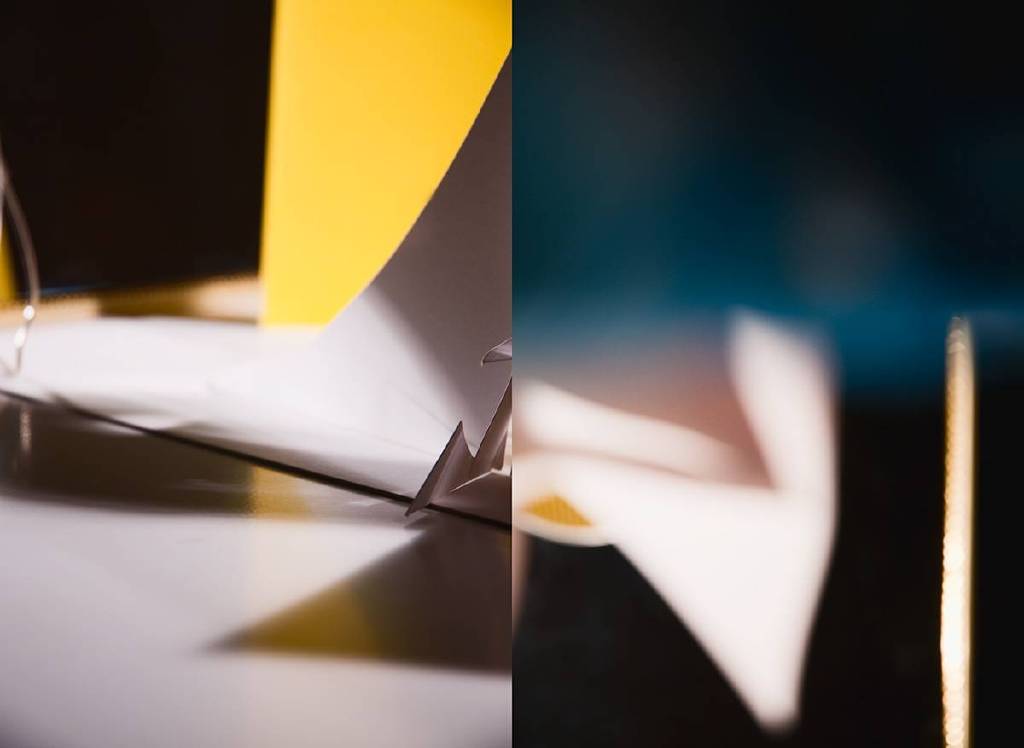 王慶蘋 - No. 11, Still Life Diptych