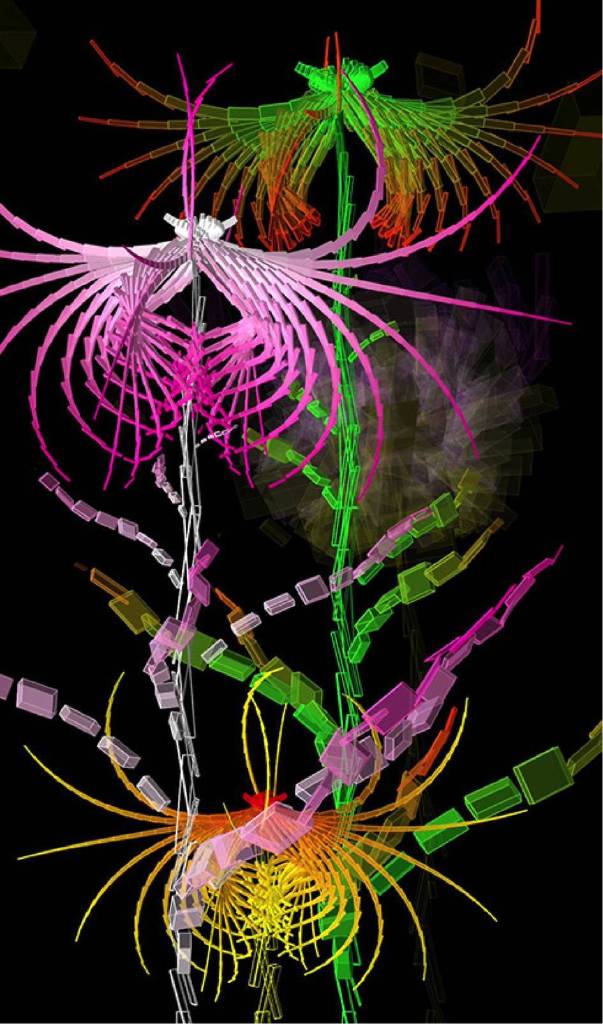 Miguel Chevalier - Cleome Spinosa de Buñuel