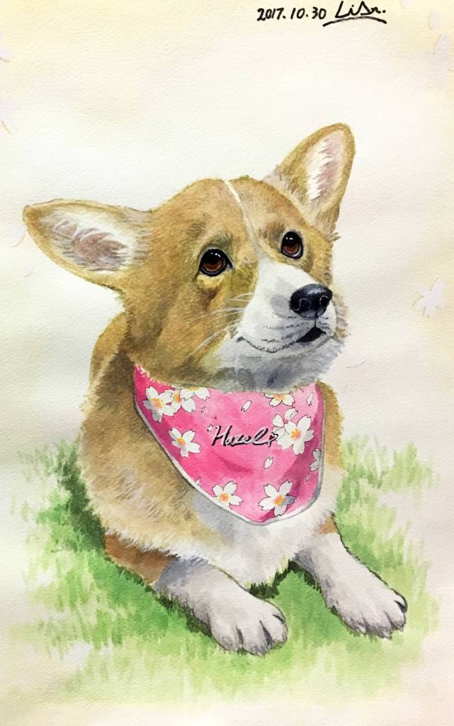 陳麗安 - 柯基犬榛果