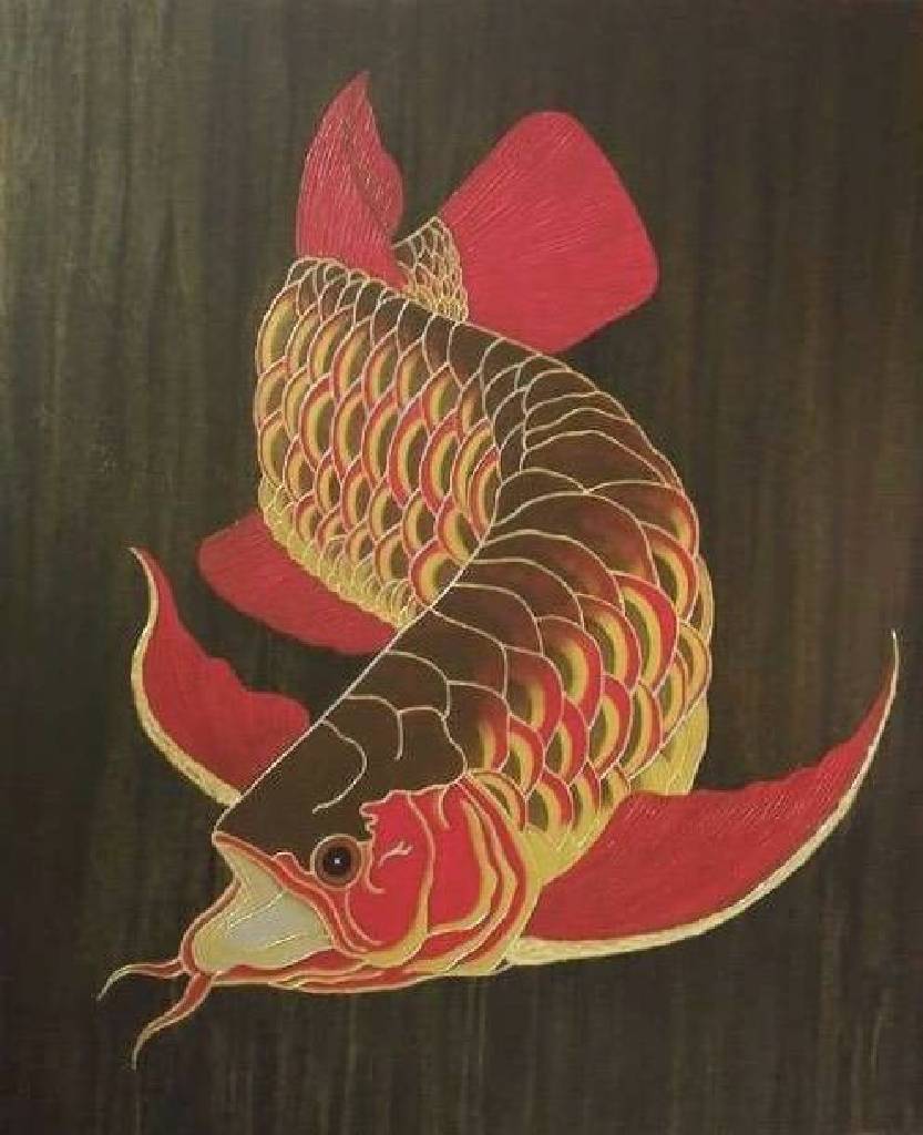 胡西寳 - 金龍魚