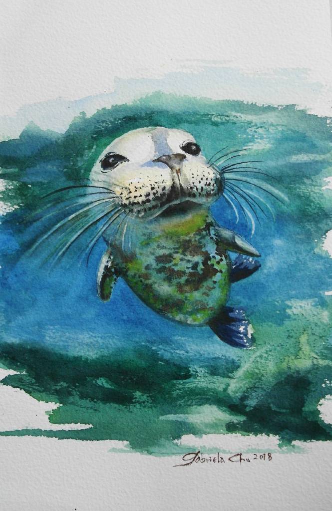 朱珮銀 - baby sealions