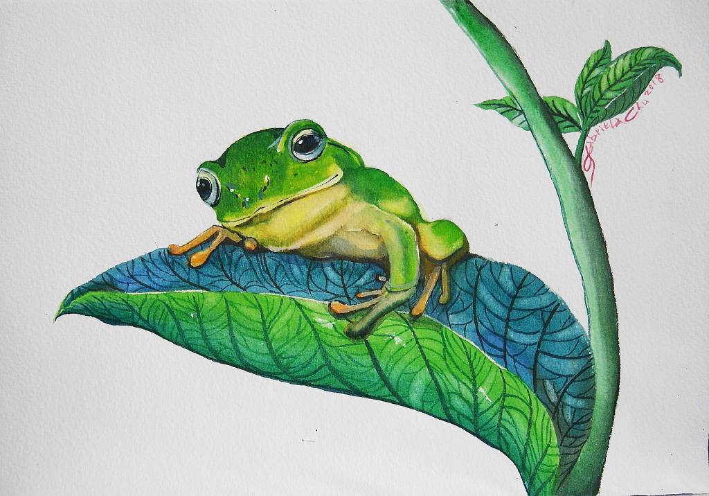 朱珮銀 - smile frog