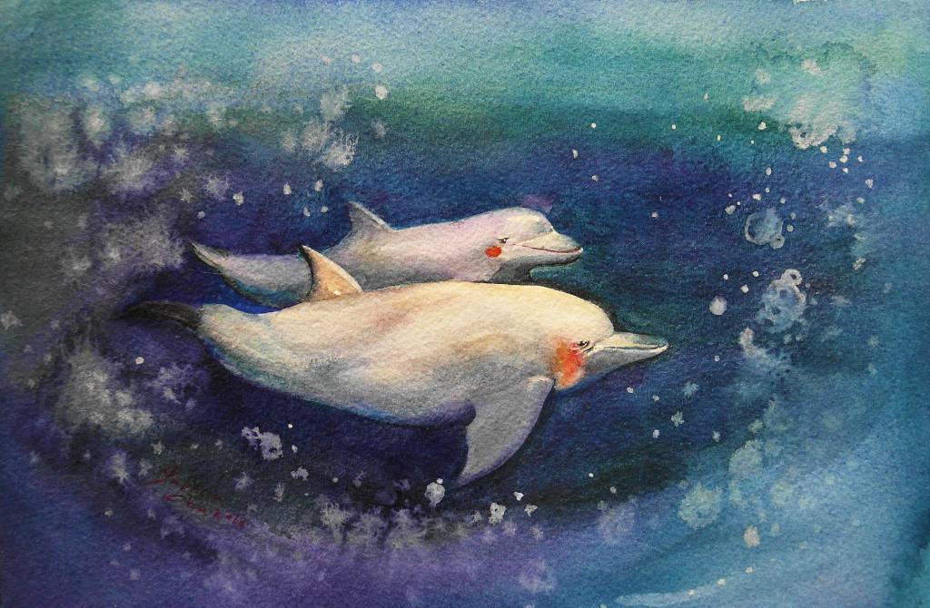 朱珮銀 - Dophins