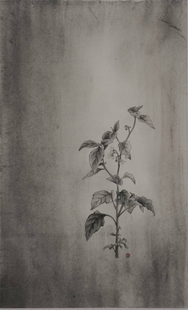 鍾麗香 - 朝著黑前進