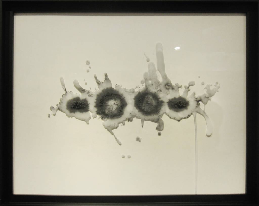 陳琦蓁 - 擴張