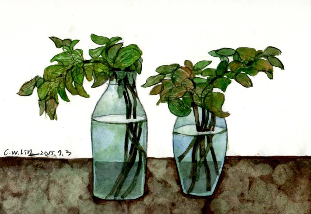 林致維 - 水瓶中的植物