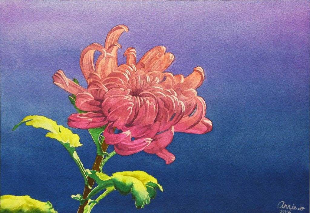 蜜絲安妮 - 意外