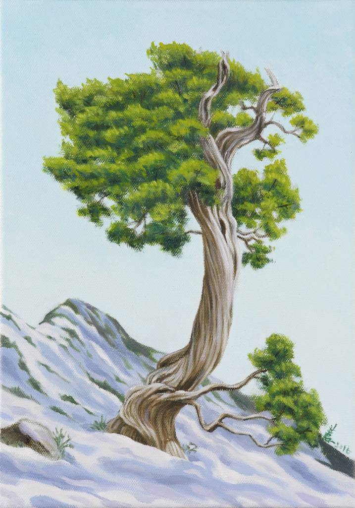 張汝蕙 - 大師品質 系列II