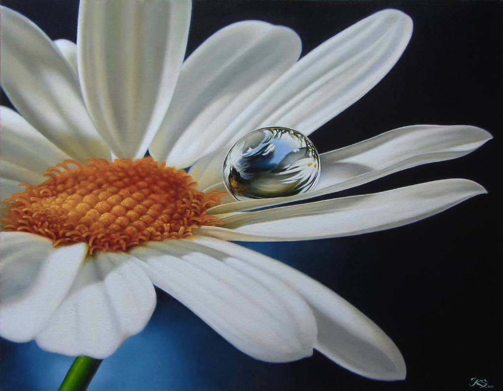 Kuzmin Sergey - Сhamomile
