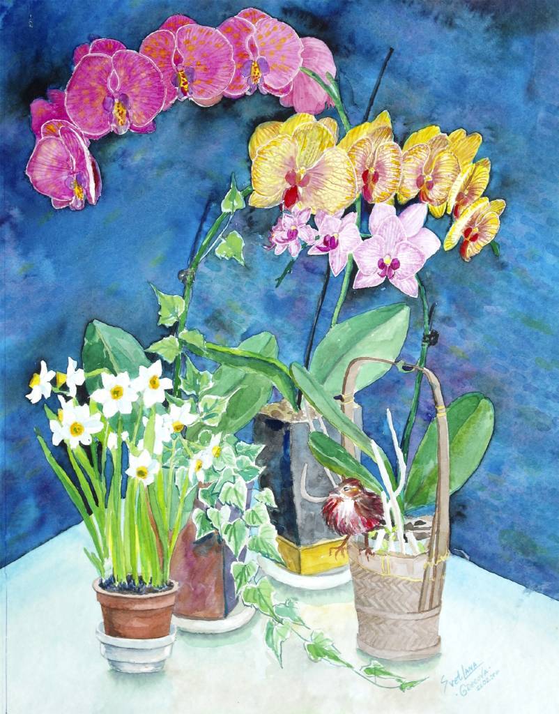 葛拉娜 - 花與瓶 Flowers in the pots