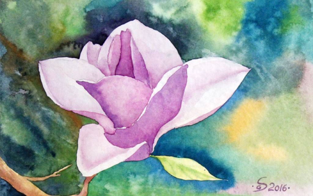 葛拉娜 - Magnolia 2